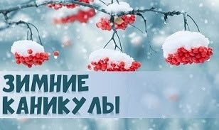 Правила безопасности на зимних каникулах